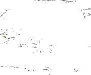 overview