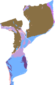 overview
