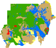 overview