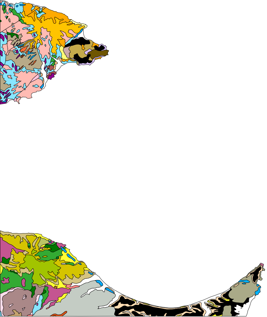 overview